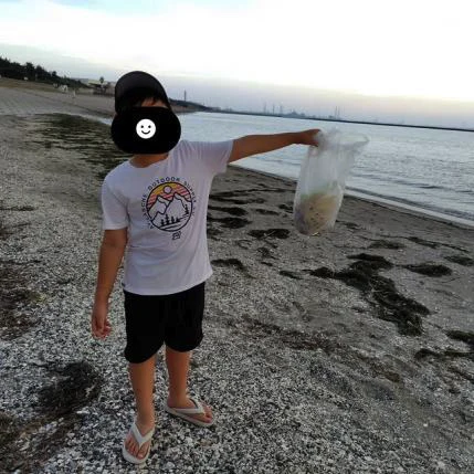 砂浜での清掃活動