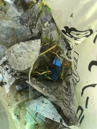 回収した海ごみ